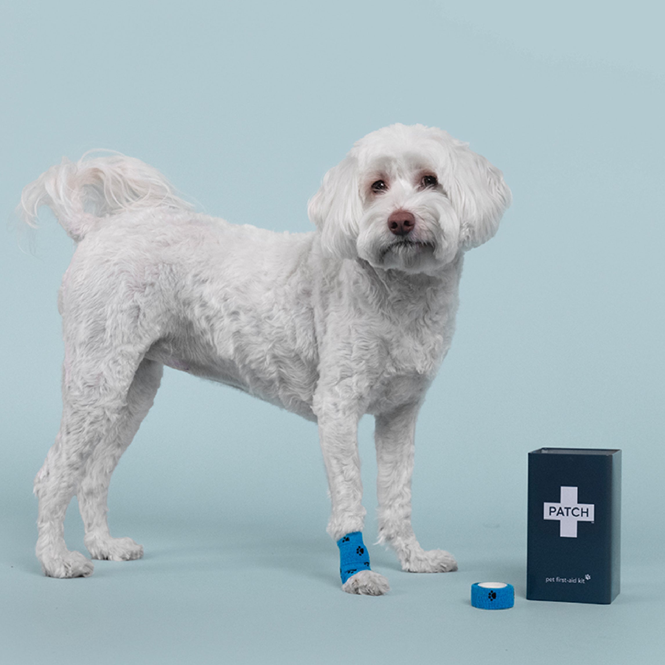 PATCH Pet Eco First-Aid Kit for Pets